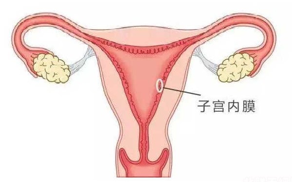石女不能做试管婴儿吗，需要看有没有正常的和卵巢功能