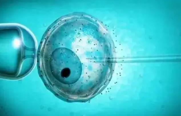 美国试管婴儿冷冻胚胎移植成功率多少
