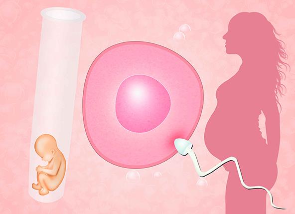 高龄女性试管促排选择拮抗剂方案取的卵泡质量好不好