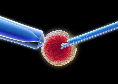囊胚移植后第二天开始频繁打喷嚏会影响胚胎在内膜上着床吗