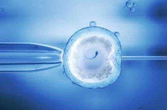 美国第三代试管囊胚等级划分定义与移植健康囊胚的重要性