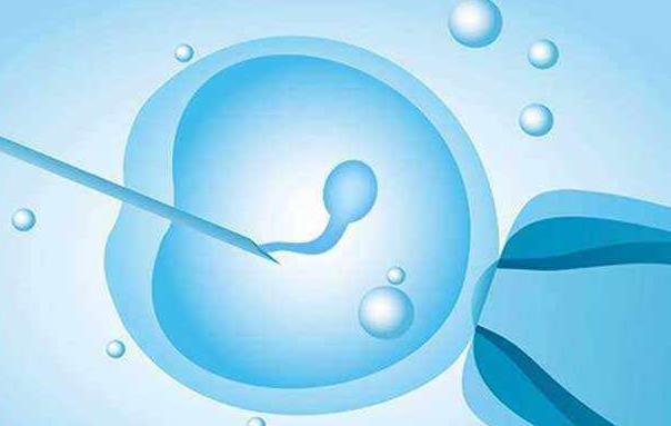 试管婴儿时卵泡过熟能受精吗附优点和缺点