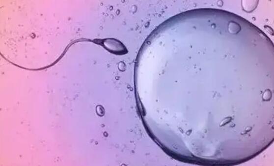 美国试管婴儿冷冻胚胎移植成功率多少