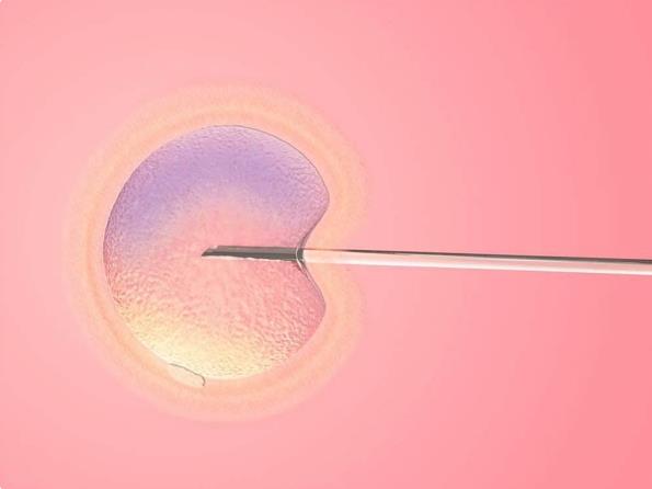 试管促排卵只有一个卵泡该怎么做，单个成熟卵泡的原因及处理方法