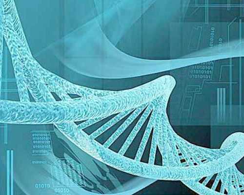国内有没有供卵机构,河北省哪家医院做试管婴儿技术高医院怎么选