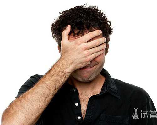 国内代生公司微信,是只能做供应卵试管了吗