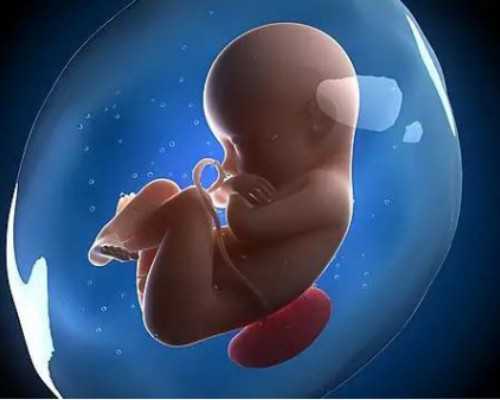 国内代怀孕排行榜,国内可以做试管吗费用多少？