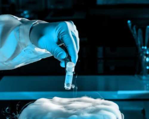 国内哪家医院能代孕,试管婴儿技术原理是什么？试管婴儿有哪些步骤