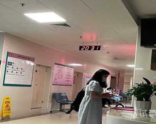 国内供卵试管医院价格详情表,孕妇怀孕8个月梦见龙入怀中有什么预兆？