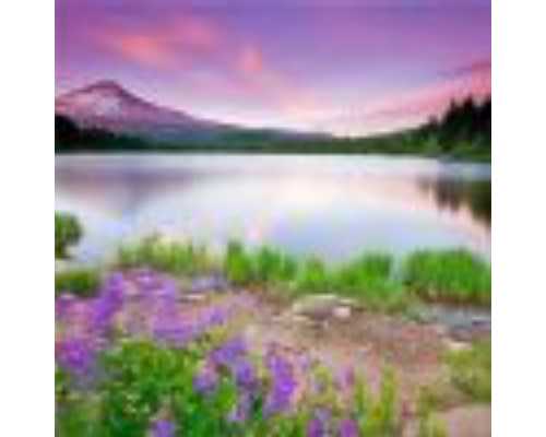 国内供卵供精,地中海贫血的家庭去做泰国试管婴儿怎么样