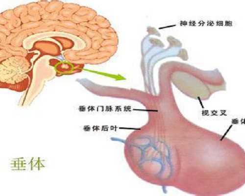 国内代生公司排名,美国精子库可靠吗,位于美国弗吉尼亚州的Fairfax精子库可靠吗
