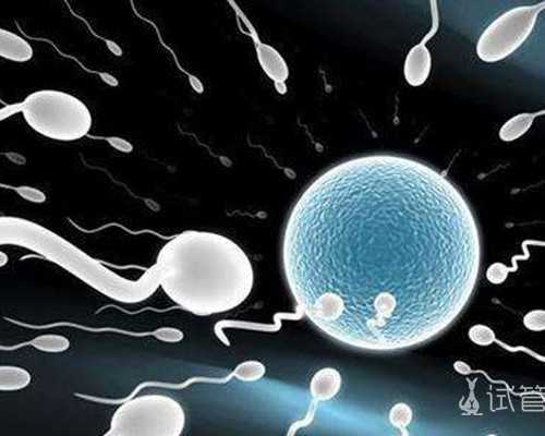 国内供卵机构找公司怎么找,龙凤胎的报喜朋友圈短信文案整理受用