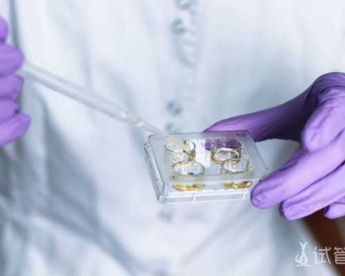 中国国内供卵价格多少,做试管婴儿大概需要多少钱？影响试管费用的因素介绍