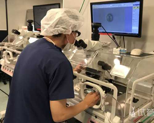 国内供卵做试管不用等,心情放松对试管婴儿有这个好处你做到了吗