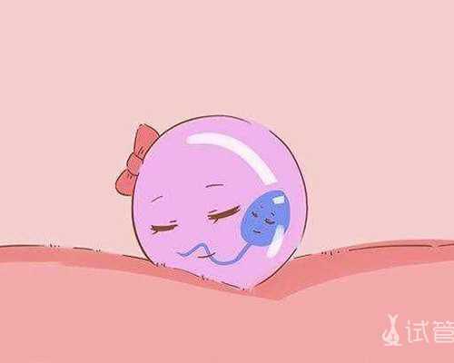 国内代怀孕价格低,广州最出名试管医院费用多少钱？