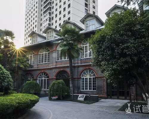 国内代生哪里有,谈宫颈炎与试管