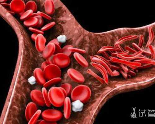 国内供卵代怀公司咨询,呼和浩特冻精费用需要多少适用人群有哪些