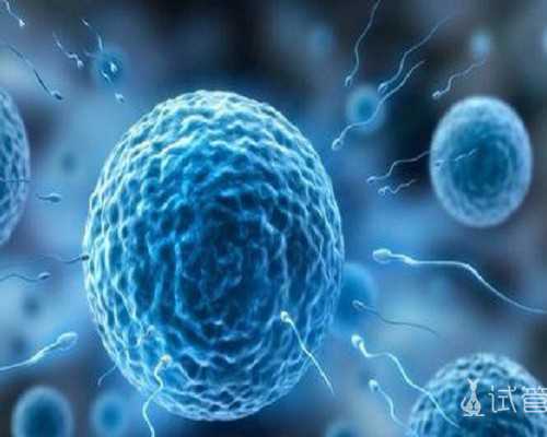 中国捐卵价格,选精*子应该注意什么(一定要在正规机构进行)