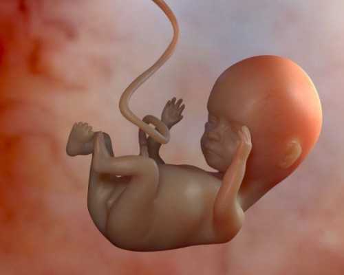 国内代生的流程,去北京做试管需要多少钱！附助孕费用清单！