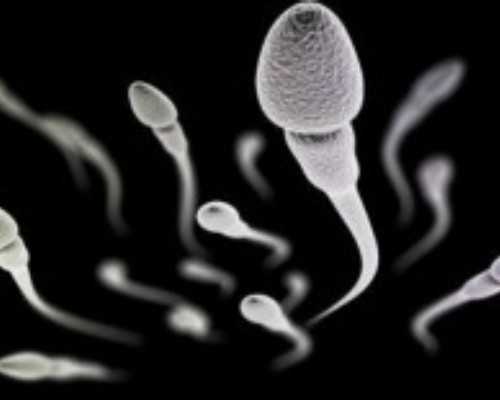 国内可靠的供卵机构有哪些,单身妈妈做试管婴儿价格多少，附费用明细？