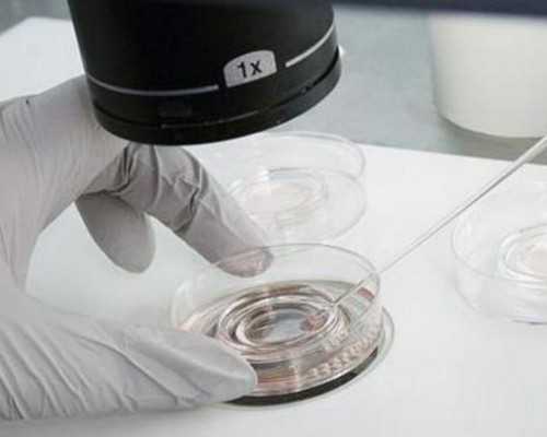 内分泌失调对怀孕有影响吗，代怀儿子男孩