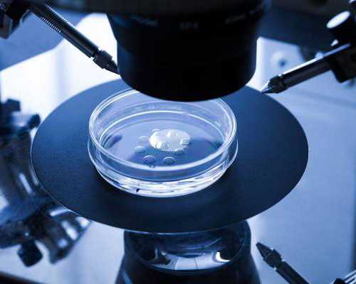 中国能做供卵试管的医院,试管移植桃子吃了能缓解孕吐吗？