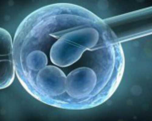 国内代孕成功率怎么样,三代试管二次移植的都是囊胚还是冻胚?
