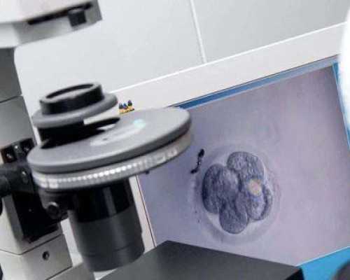 国内哪个医院可供卵,轻度肠粘连可以做试管*孩子吗？