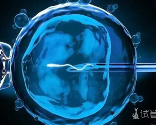 中国正规的供卵医院有哪些,做试管婴儿取卵前准备？取卵手术并发症有哪些