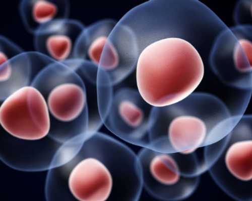 卵泡促排多大才能打夜针(最好达到18mm再打夜针)