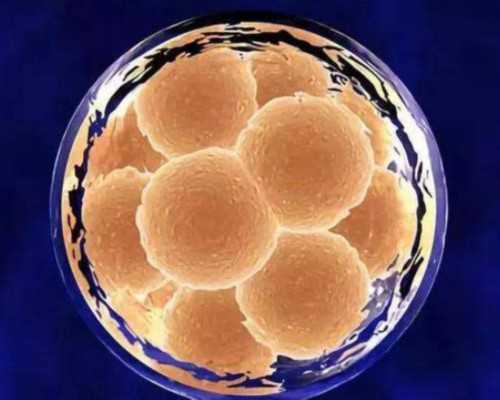 全国供卵最强的医院排名,多次胎停做试管婴儿*率大吗？