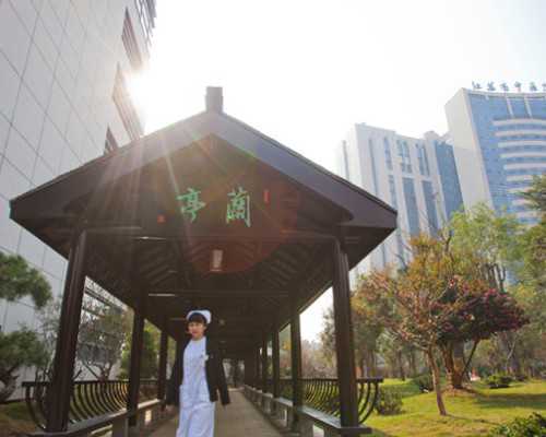 中国供卵市场情况,试管婴儿取卵前需要注意什么