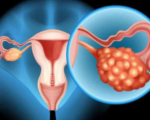 在日本做试管婴儿需要多少钱？，专业代生机构